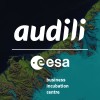Audili